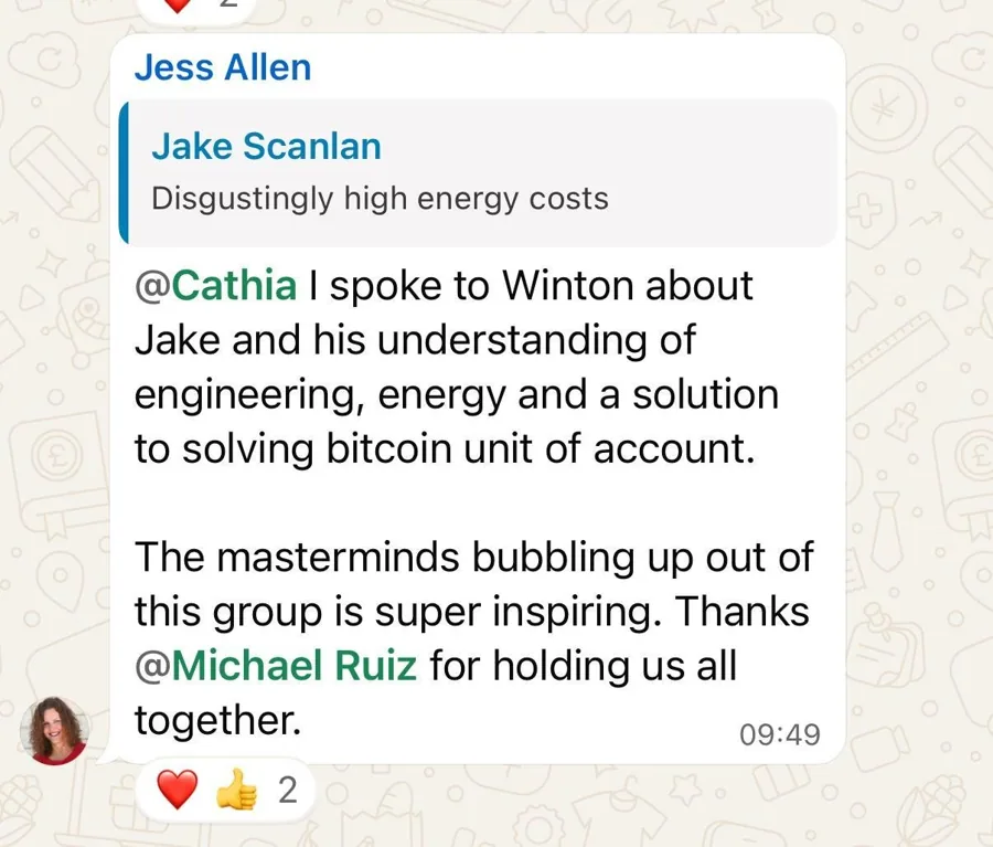 A BIES community chat about a member's project